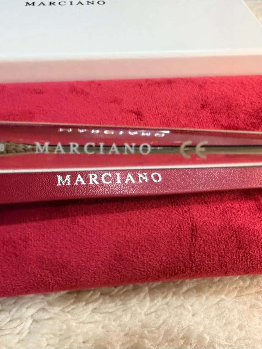 Marciano stylish cat